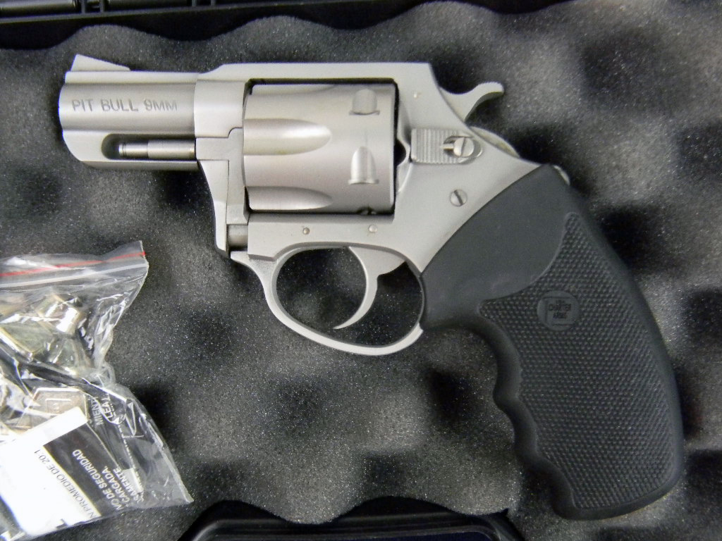 charter arms pitbull charter arms pitbull